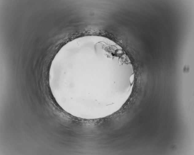 X0000113110769200908281017