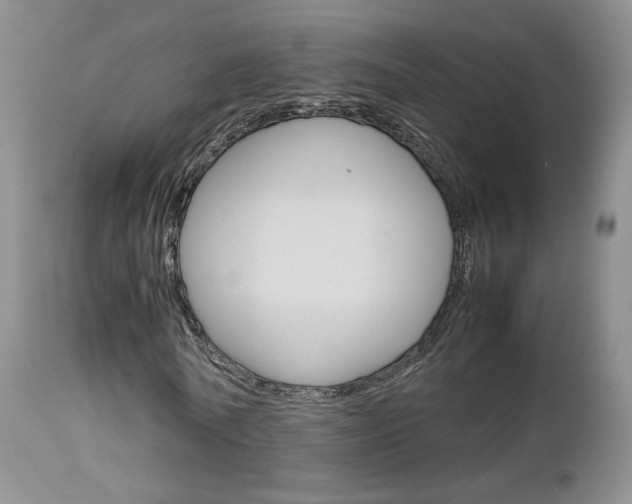 X0000113110770200908281017