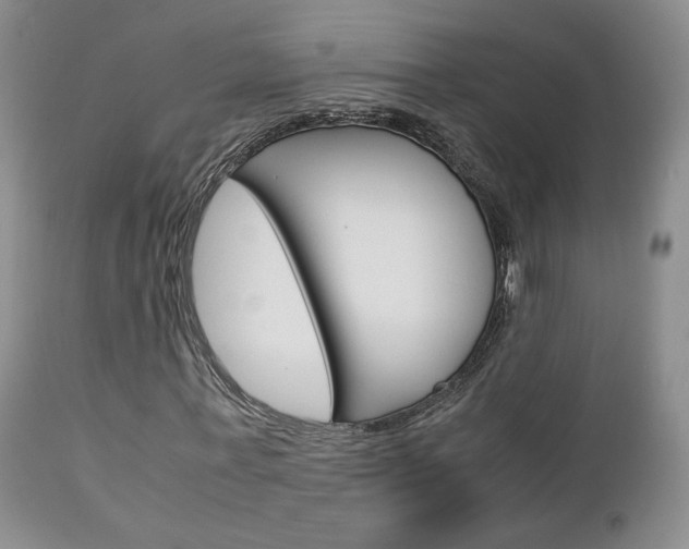 X0000113110771200908281016