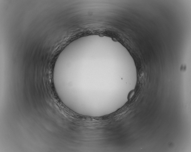 X0000113110772200908281016