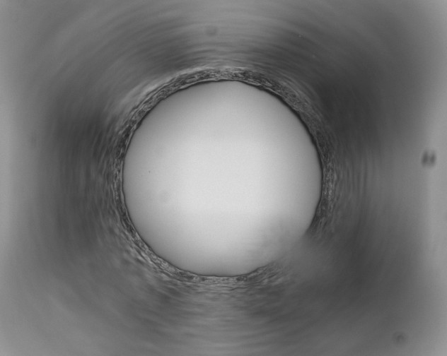 X0000113110773200908281016