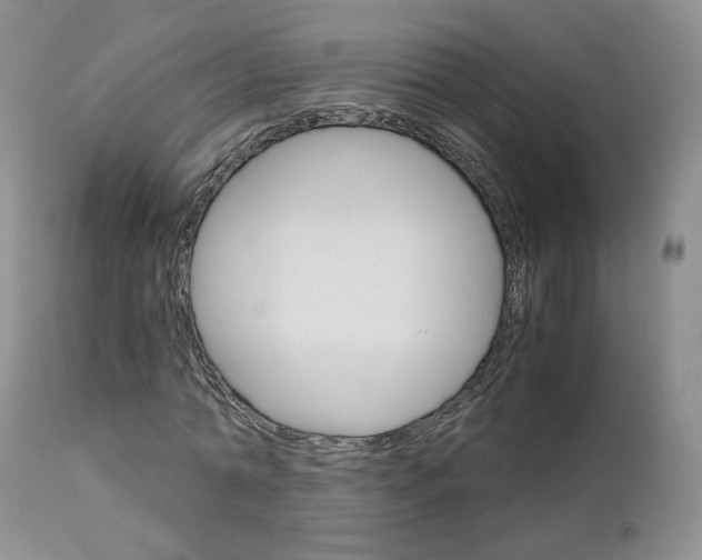 X0000113110774200908281016