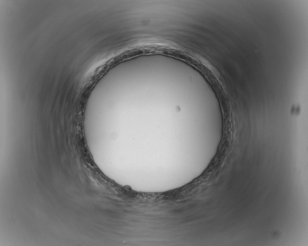 X0000113110775200908281016