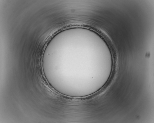 X0000113110777200908281016