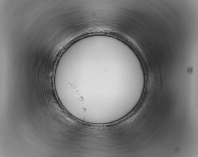 X0000113110778200908281016