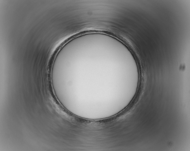X0000113110779200908281016