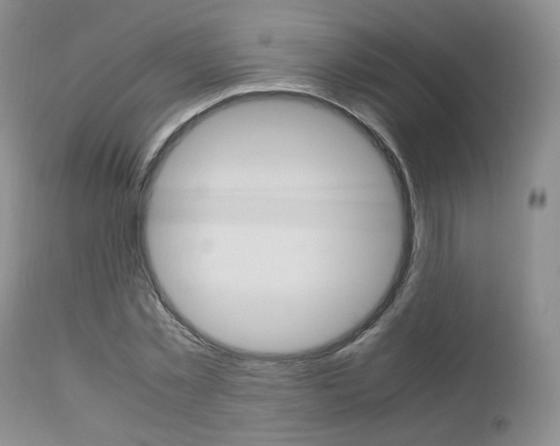 X0000113110781200908281016