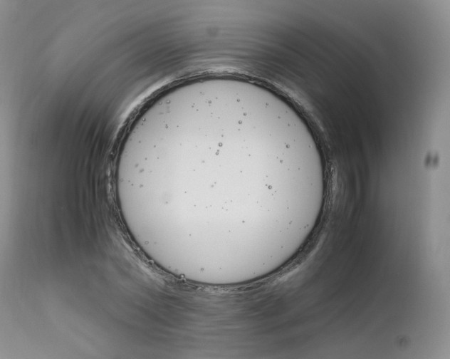 X0000113110782200908281016