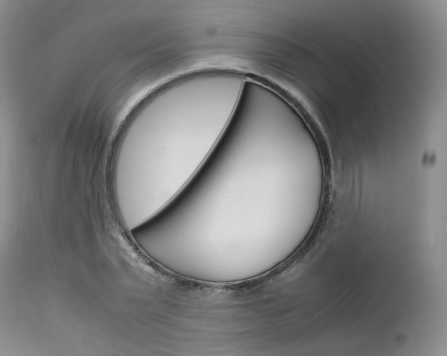 X0000113110783200908281016