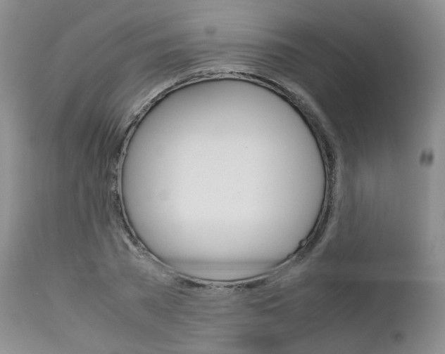 X0000113110785200908281016