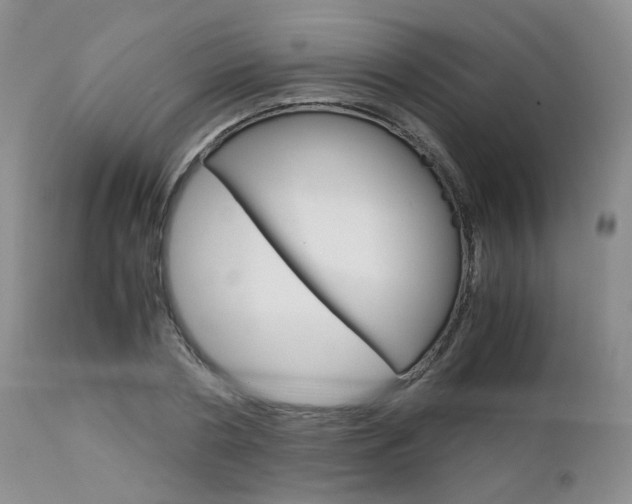 X0000113110786200908281016