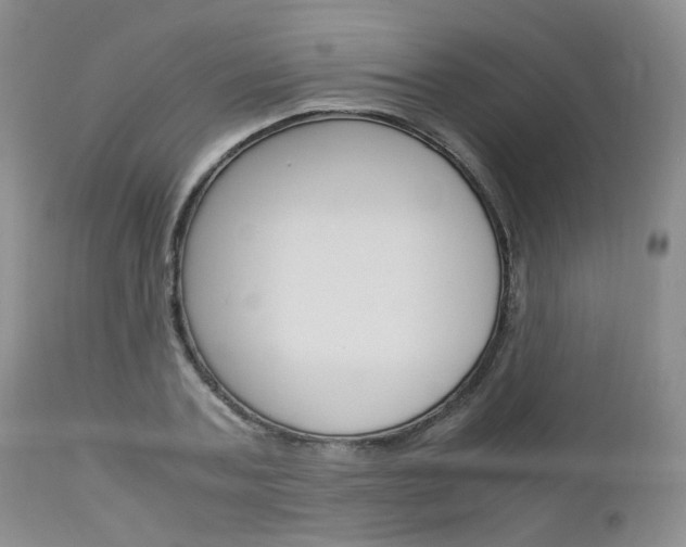 X0000113110787200908281016