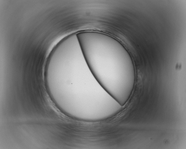 X0000113110788200908281016