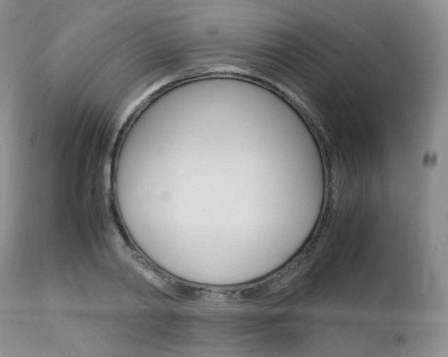 X0000113110790200908281016