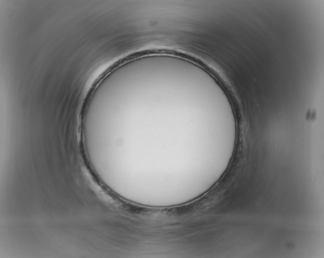 X0000113110791200908281016