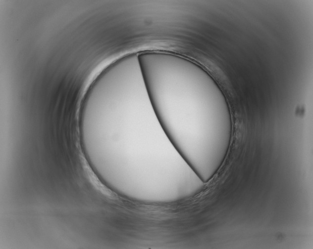 X0000113110792200908281016