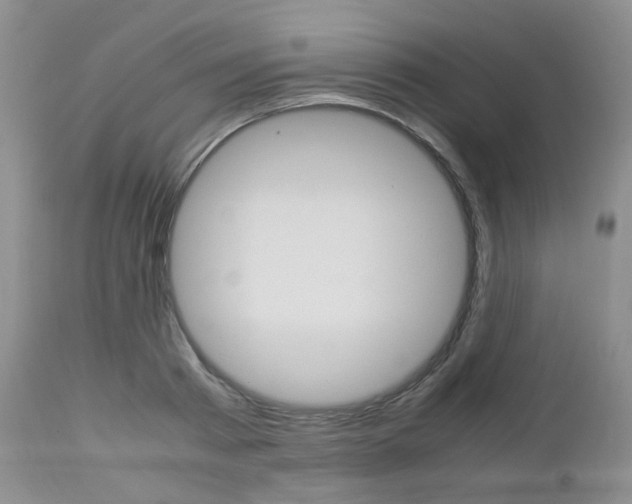X0000113110793200908281016