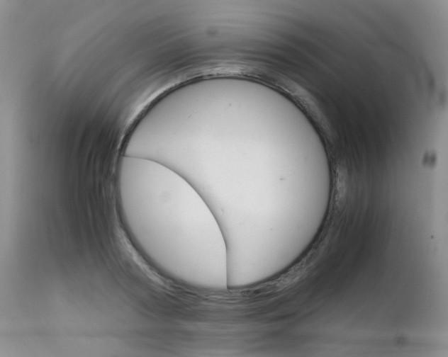 X0000113110794200908281016