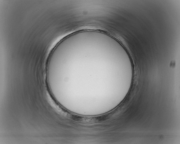 X0000113110795200908281016