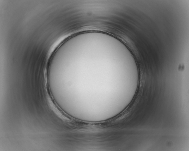 X0000113110796200908281016