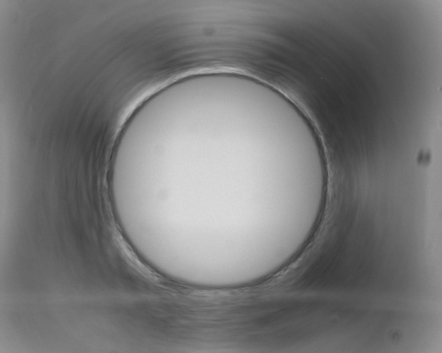 X0000113110797200908281016