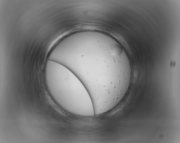X0000113110798200908281016