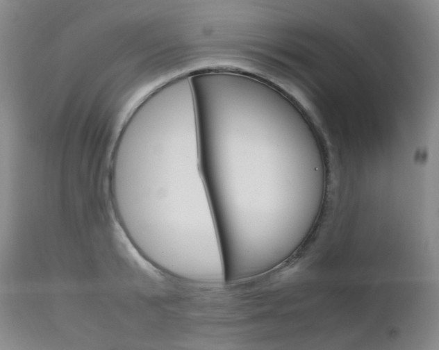 X0000113110799200908281016