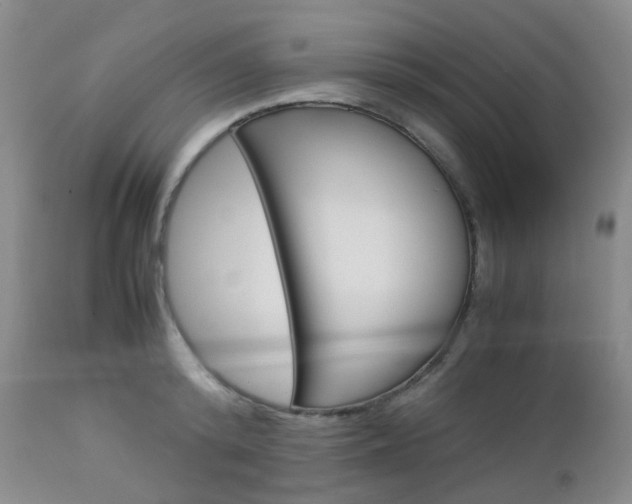 X0000113110800200908281016
