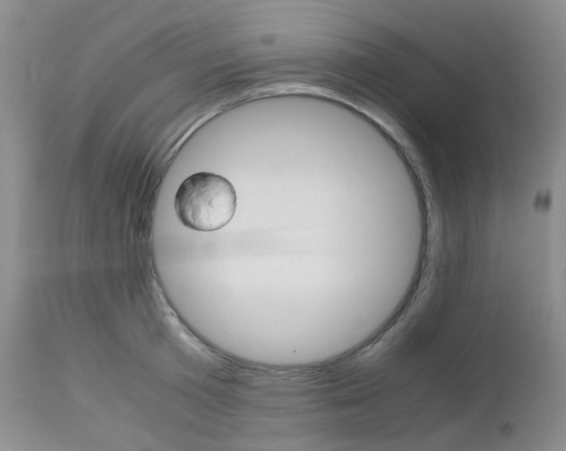 X0000113110801200908281016
