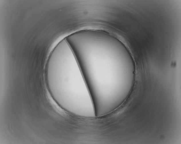 X0000113110803200908281016