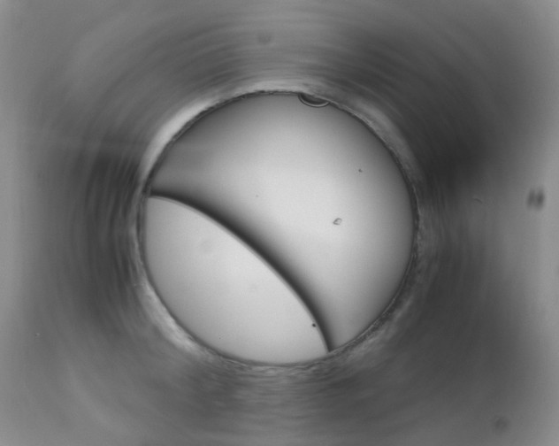 X0000113110804200908281016