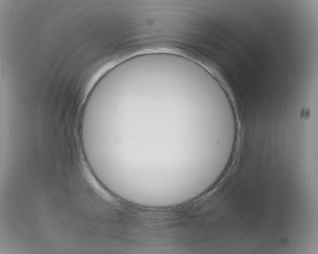 X0000113110805200908281016