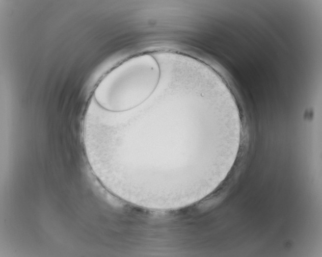 X0000113110807200908281016