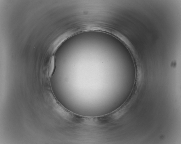 X0000113110809200908281016