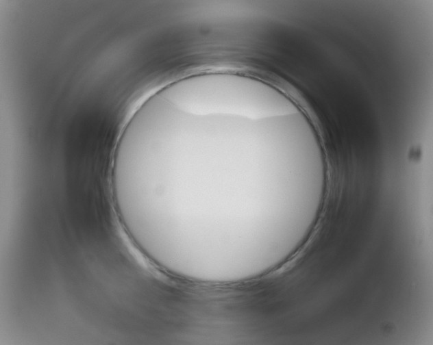 X0000113110810200908281016