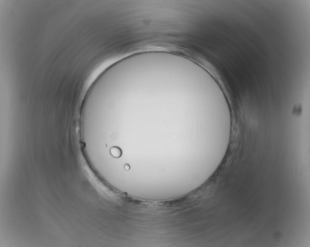 X0000113110811200908281016