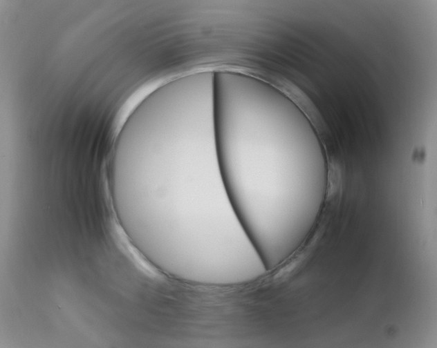 X0000113110812200908281016