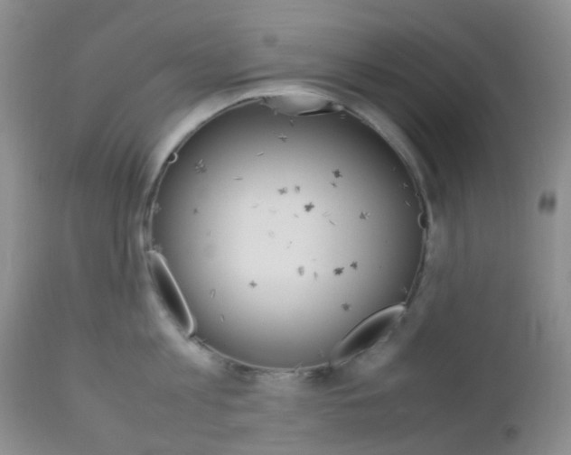 X0000113110813200908281016