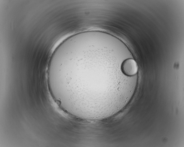 X0000113110814200908281016