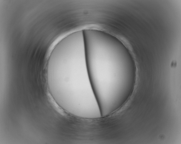 X0000113110816200908281015