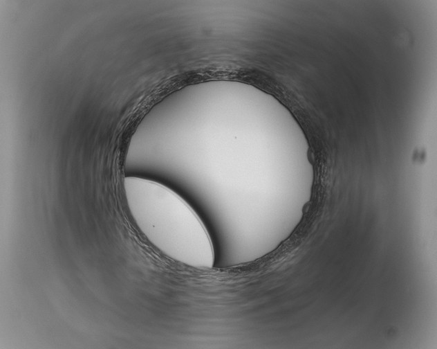 X0000113110818200908281015