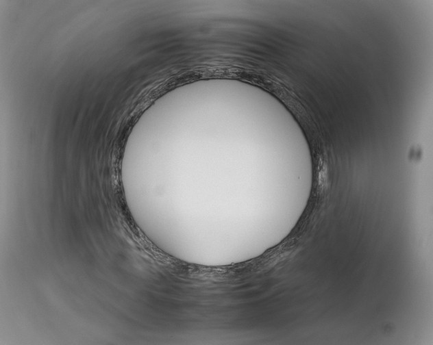 X0000113110819200908281015
