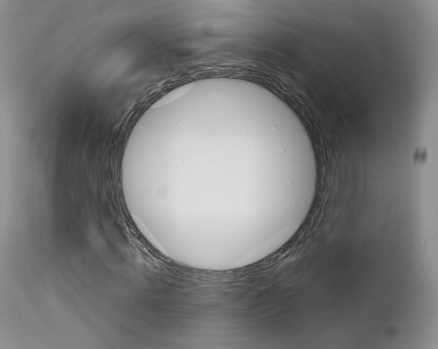 X0000113110820200908281015