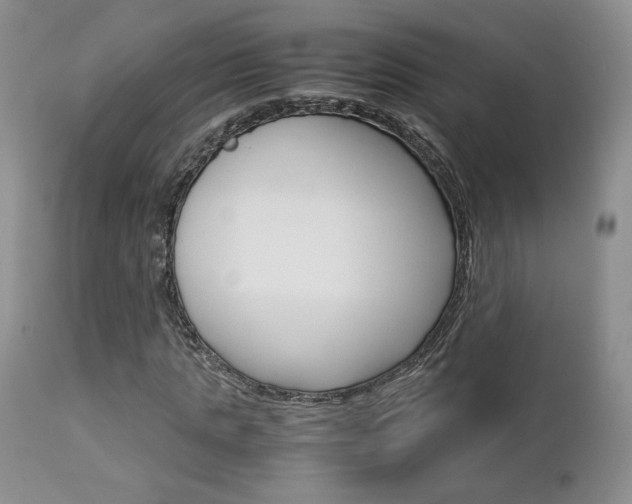 X0000113110821200908281015