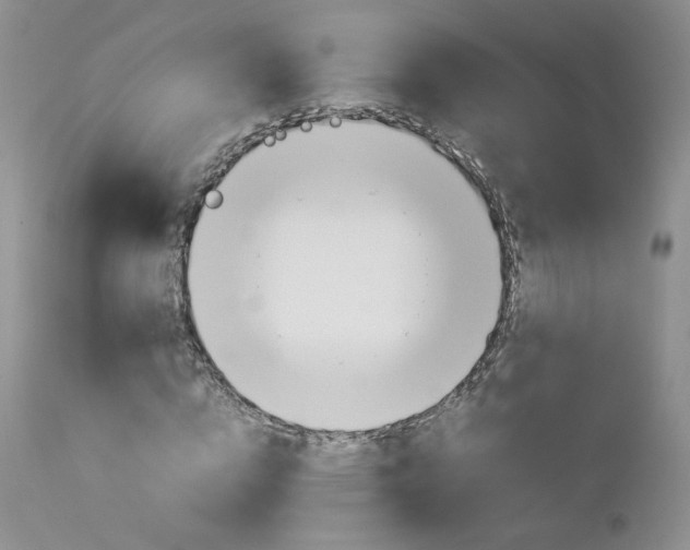 X0000113110824200908281015