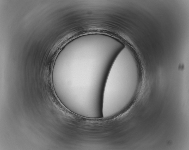 X0000113110825200908281015
