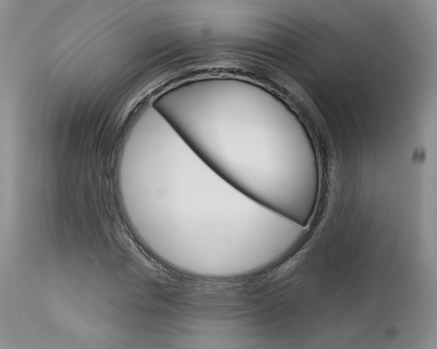 X0000113110826200908281015