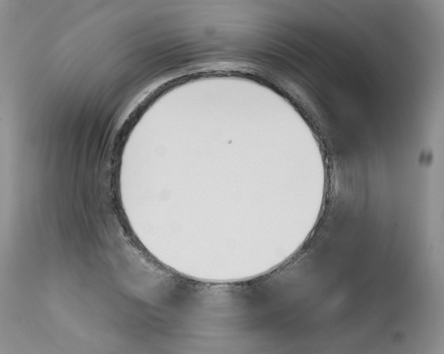 X0000113110828200908281015