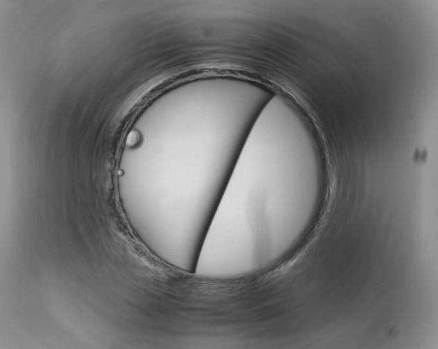X0000113110829200908281015