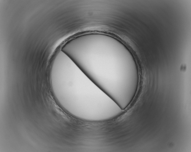 X0000113110830200908281015